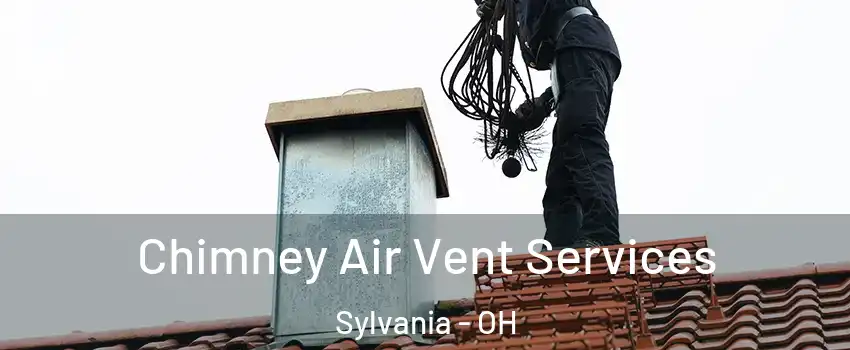  Chimney Air Vent Services Sylvania - OH