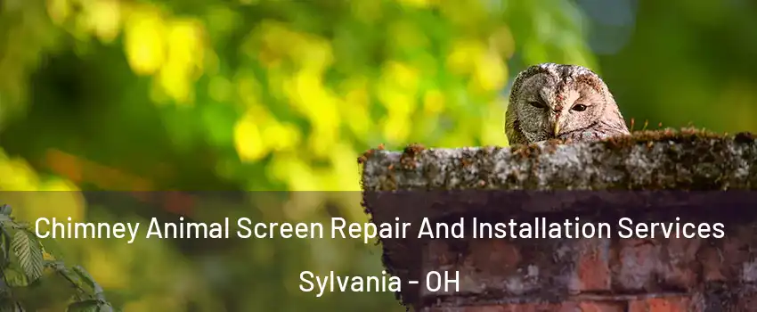  Chimney Animal Screen Repair And Installation Services Sylvania - OH