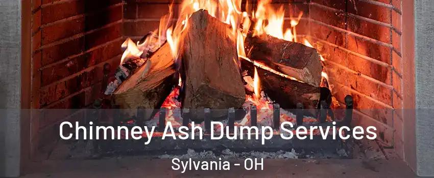  Chimney Ash Dump Services Sylvania - OH