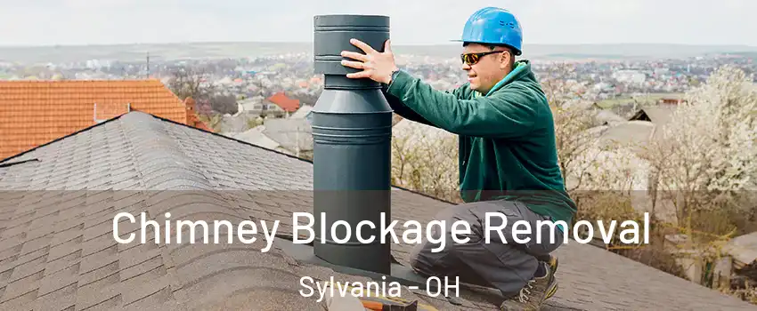  Chimney Blockage Removal Sylvania - OH