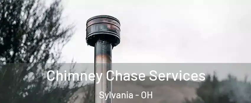  Chimney Chase Services Sylvania - OH