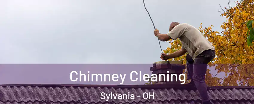  Chimney Cleaning Sylvania - OH
