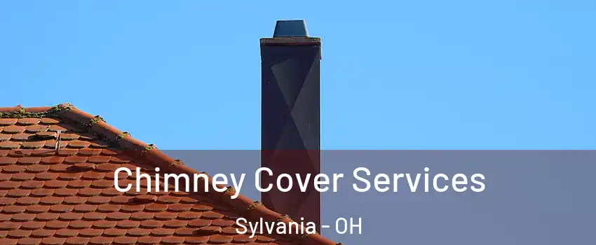  Chimney Cover Services Sylvania - OH