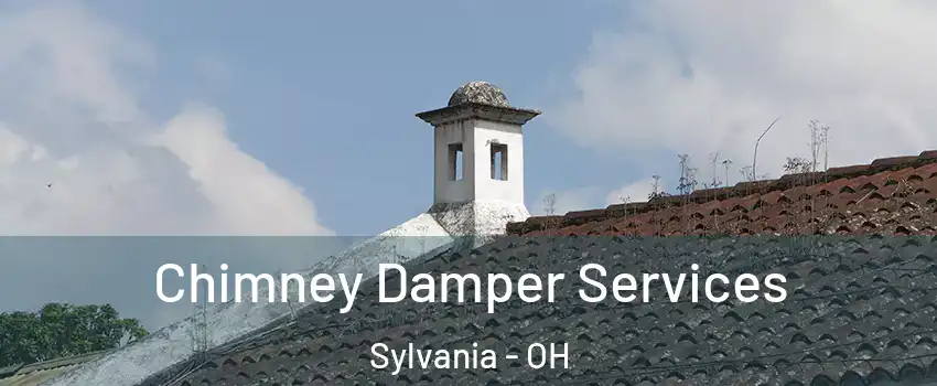  Chimney Damper Services Sylvania - OH