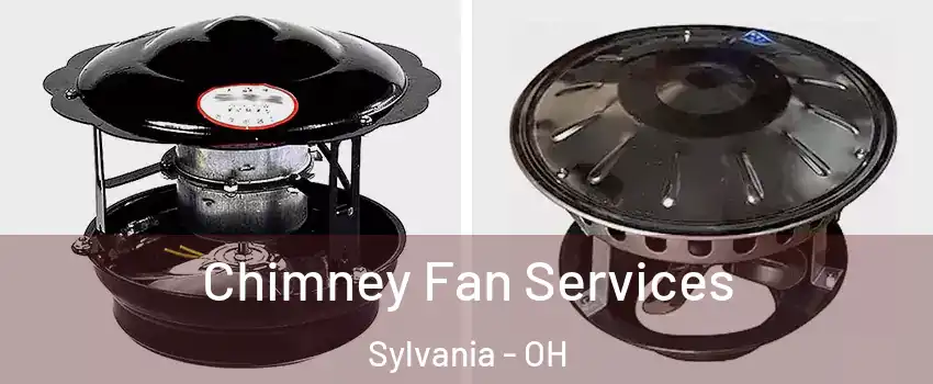  Chimney Fan Services Sylvania - OH