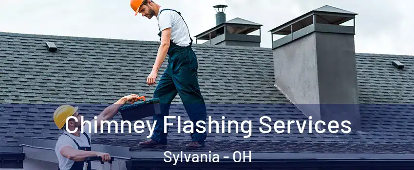  Chimney Flashing Services Sylvania - OH