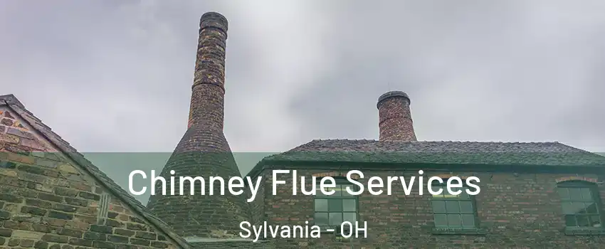  Chimney Flue Services Sylvania - OH