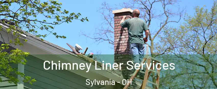  Chimney Liner Services Sylvania - OH