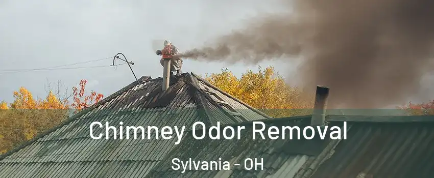  Chimney Odor Removal Sylvania - OH