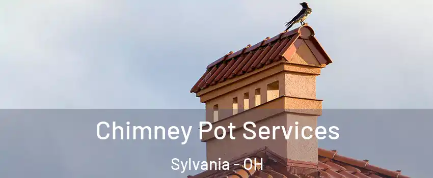 Chimney Pot Services Sylvania - OH