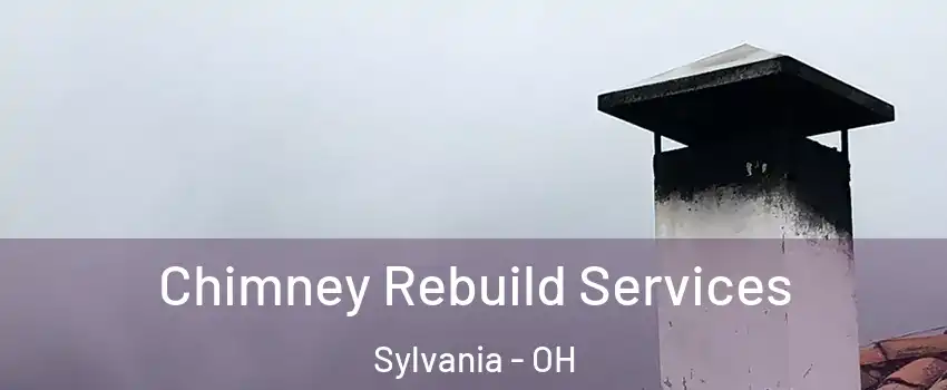  Chimney Rebuild Services Sylvania - OH