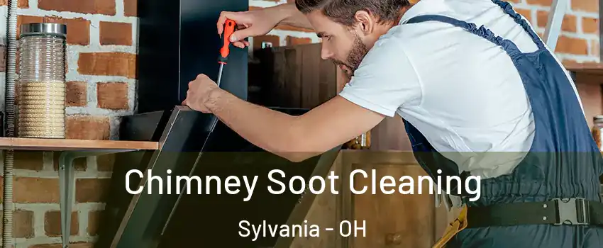  Chimney Soot Cleaning Sylvania - OH