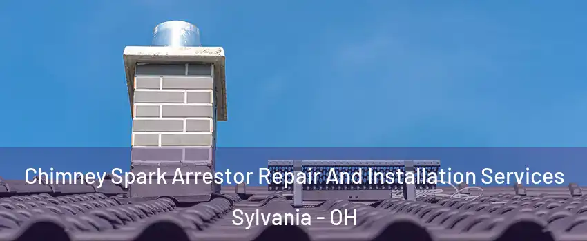  Chimney Spark Arrestor Repair And Installation Services Sylvania - OH