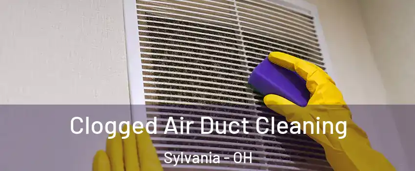  Clogged Air Duct Cleaning Sylvania - OH