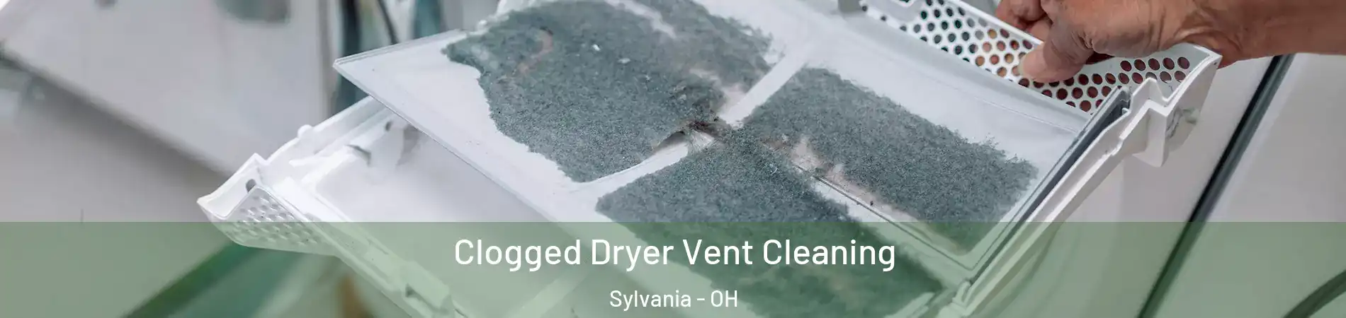  Clogged Dryer Vent Cleaning Sylvania - OH