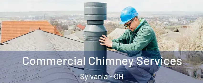  Commercial Chimney Services Sylvania - OH