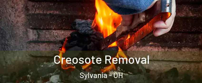  Creosote Removal Sylvania - OH