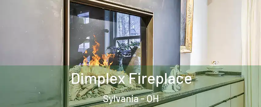  Dimplex Fireplace Sylvania - OH