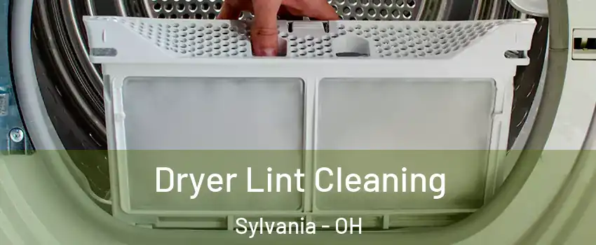 Dryer Lint Cleaning Sylvania - OH
