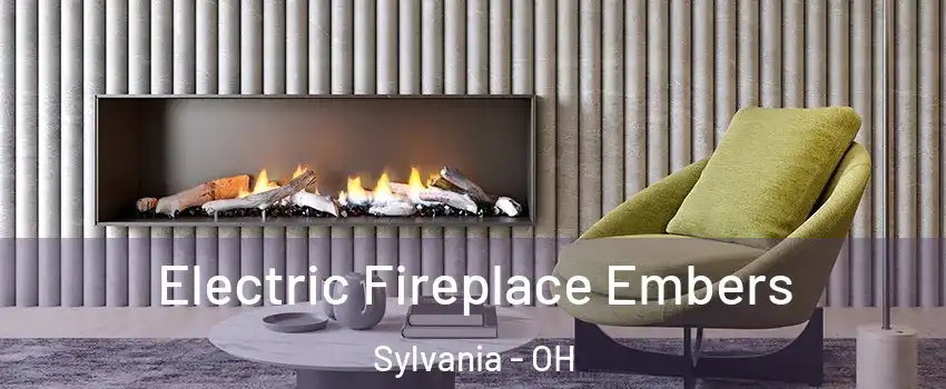  Electric Fireplace Embers Sylvania - OH