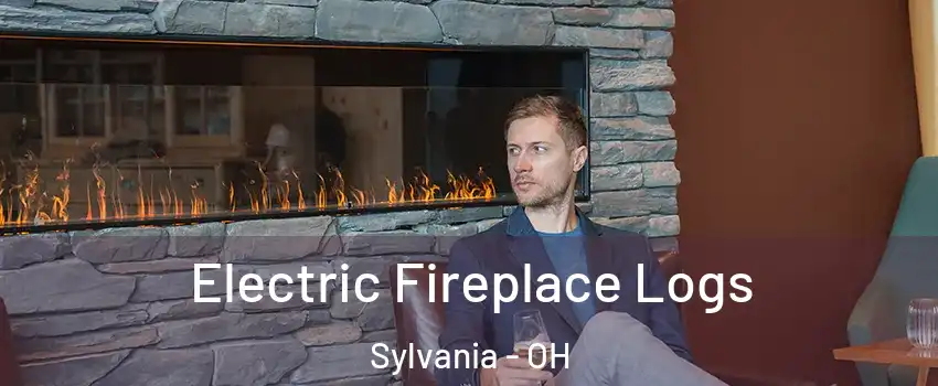  Electric Fireplace Logs Sylvania - OH