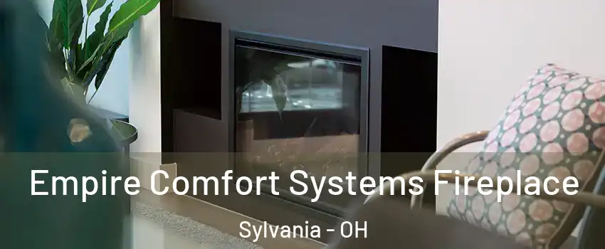  Empire Comfort Systems Fireplace Sylvania - OH