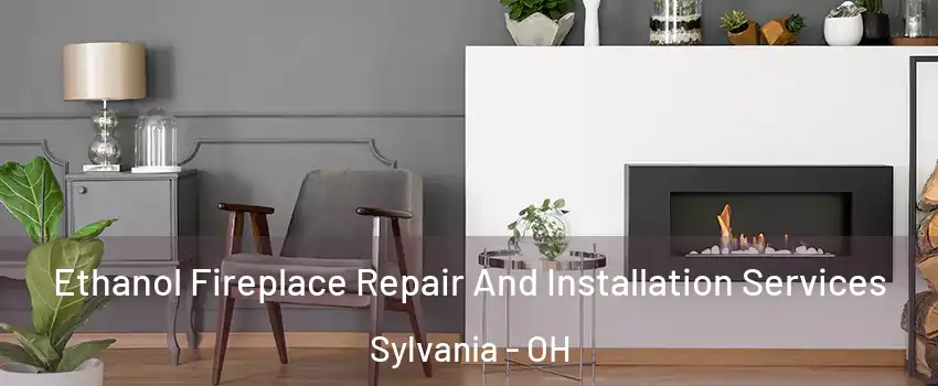  Ethanol Fireplace Repair And Installation Services Sylvania - OH