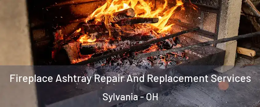  Fireplace Ashtray Repair And Replacement Services Sylvania - OH