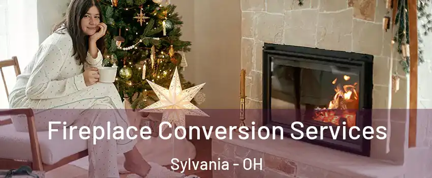  Fireplace Conversion Services Sylvania - OH