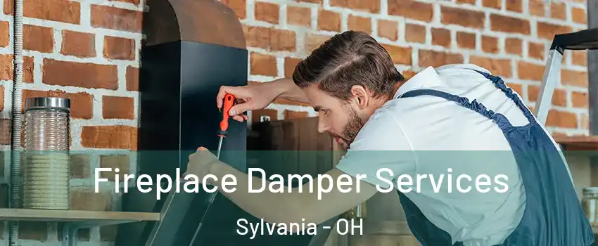  Fireplace Damper Services Sylvania - OH
