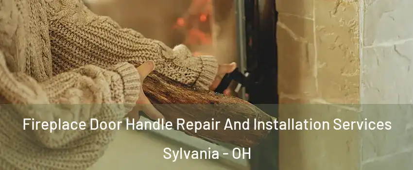  Fireplace Door Handle Repair And Installation Services Sylvania - OH