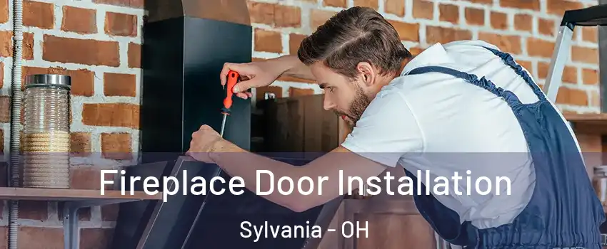  Fireplace Door Installation Sylvania - OH