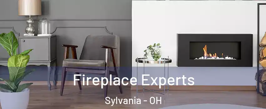  Fireplace Experts Sylvania - OH