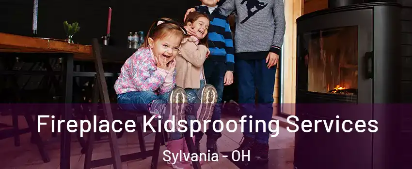  Fireplace Kidsproofing Services Sylvania - OH