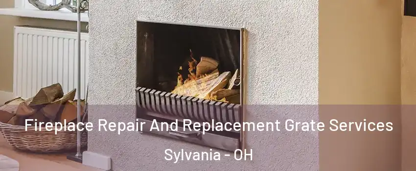  Fireplace Repair And Replacement Grate Services Sylvania - OH