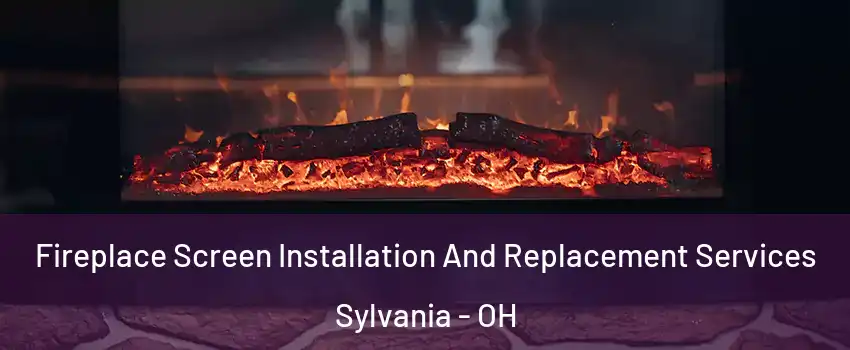  Fireplace Screen Installation And Replacement Services Sylvania - OH