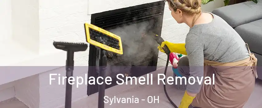  Fireplace Smell Removal Sylvania - OH