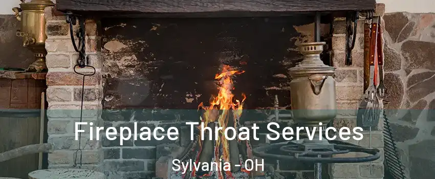  Fireplace Throat Services Sylvania - OH