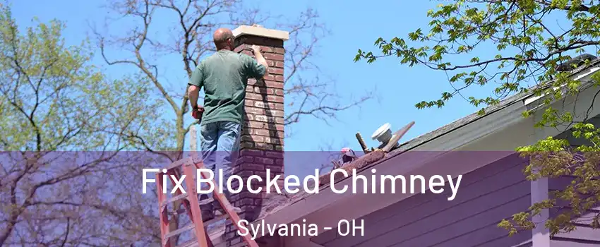  Fix Blocked Chimney Sylvania - OH