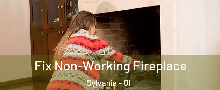  Fix Non-Working Fireplace Sylvania - OH
