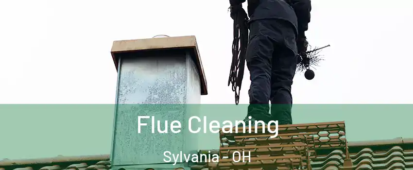  Flue Cleaning Sylvania - OH