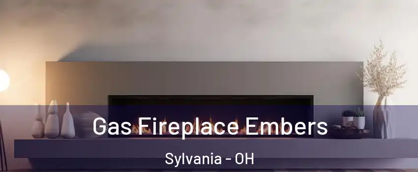  Gas Fireplace Embers Sylvania - OH