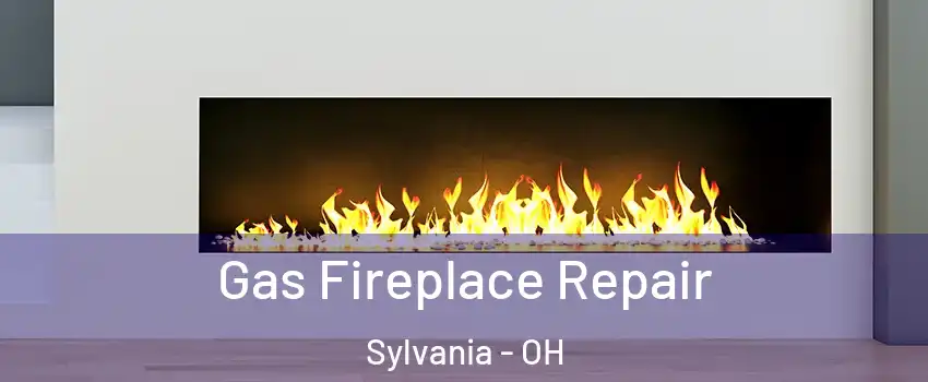  Gas Fireplace Repair Sylvania - OH