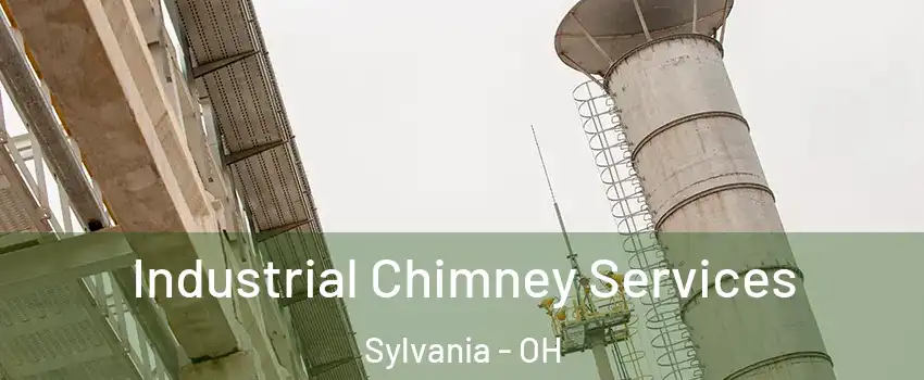  Industrial Chimney Services Sylvania - OH