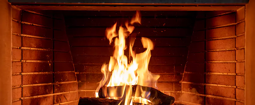 Soot Cleanup Services in Sylvania, OH