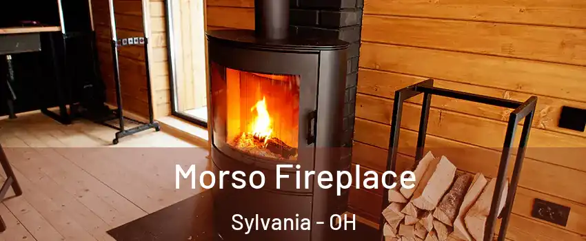  Morso Fireplace Sylvania - OH
