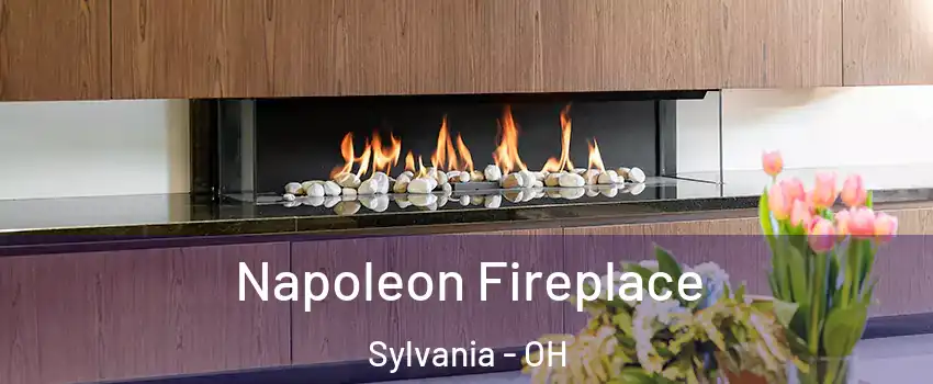 Napoleon Fireplace Sylvania - OH