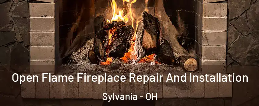  Open Flame Fireplace Repair And Installation Sylvania - OH
