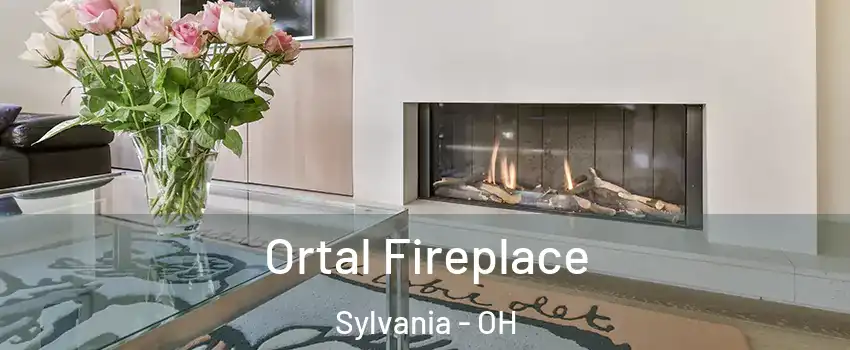  Ortal Fireplace Sylvania - OH