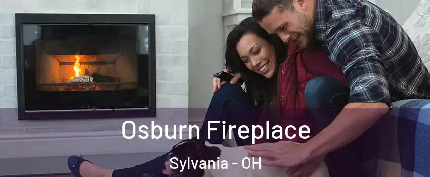  Osburn Fireplace Sylvania - OH